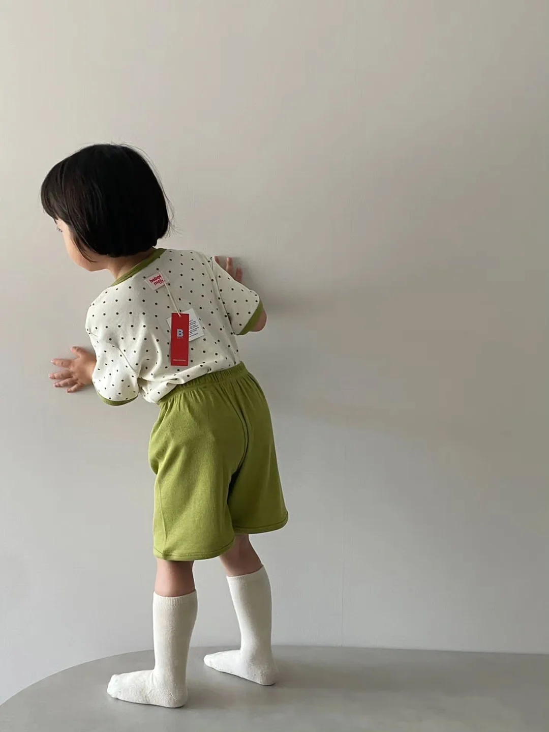 바토치용 페스토 5