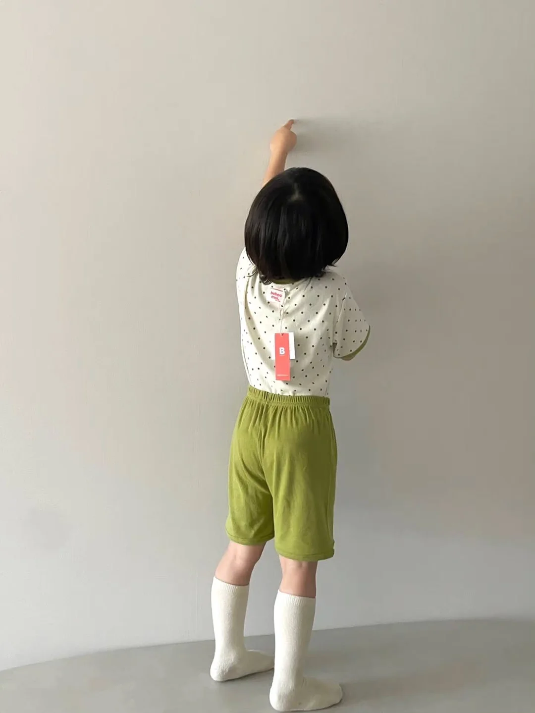 바토치용 페스토 8