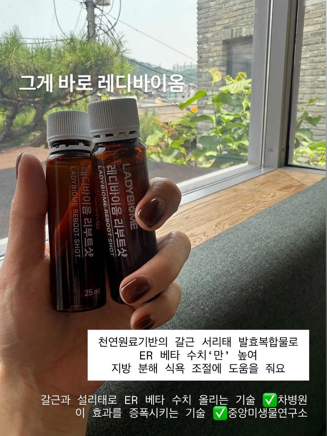 무드등 12