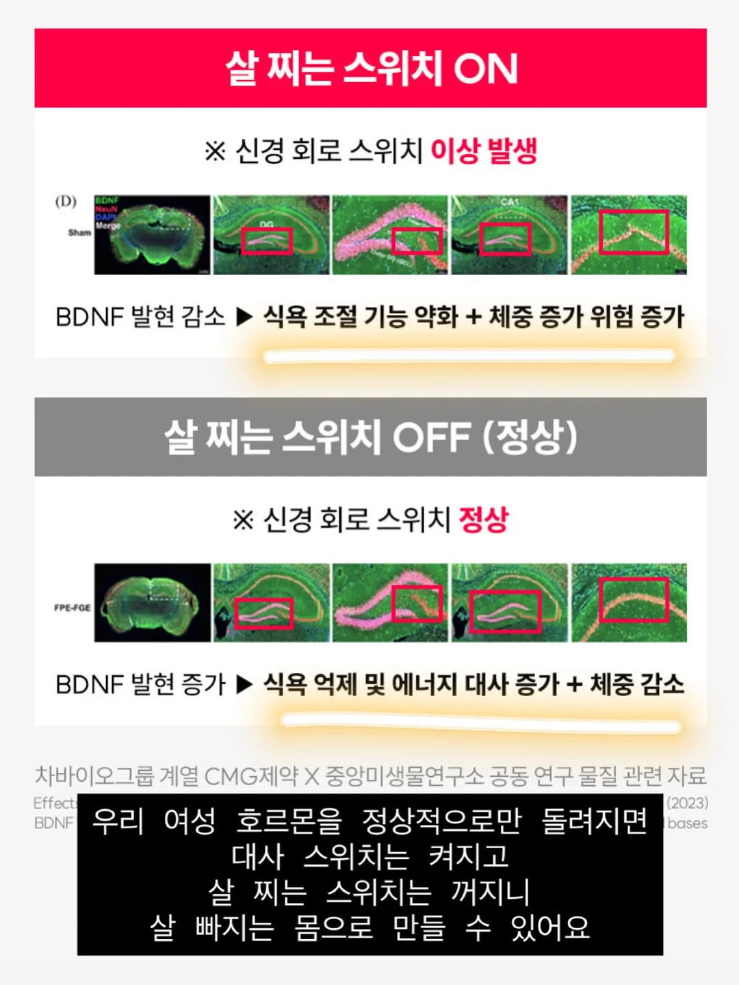 무드등 14