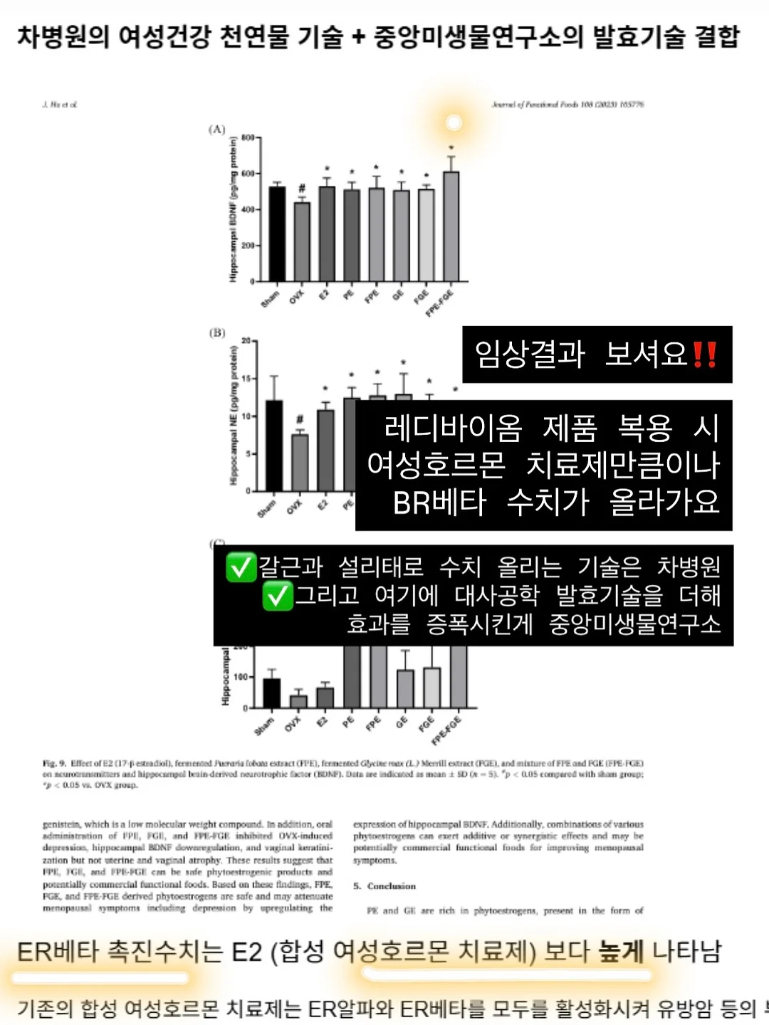무드등 18