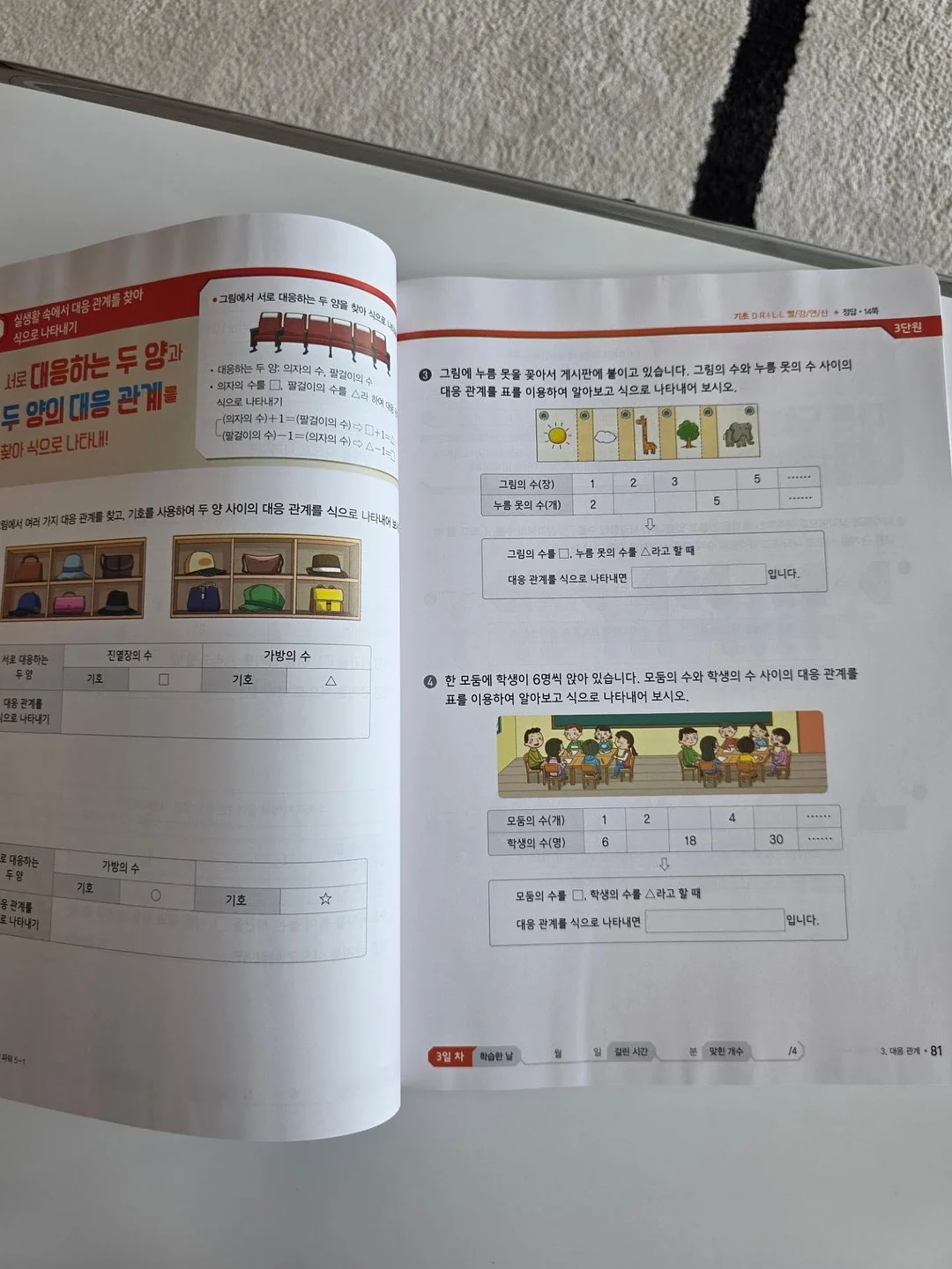 바디 3종세트 13