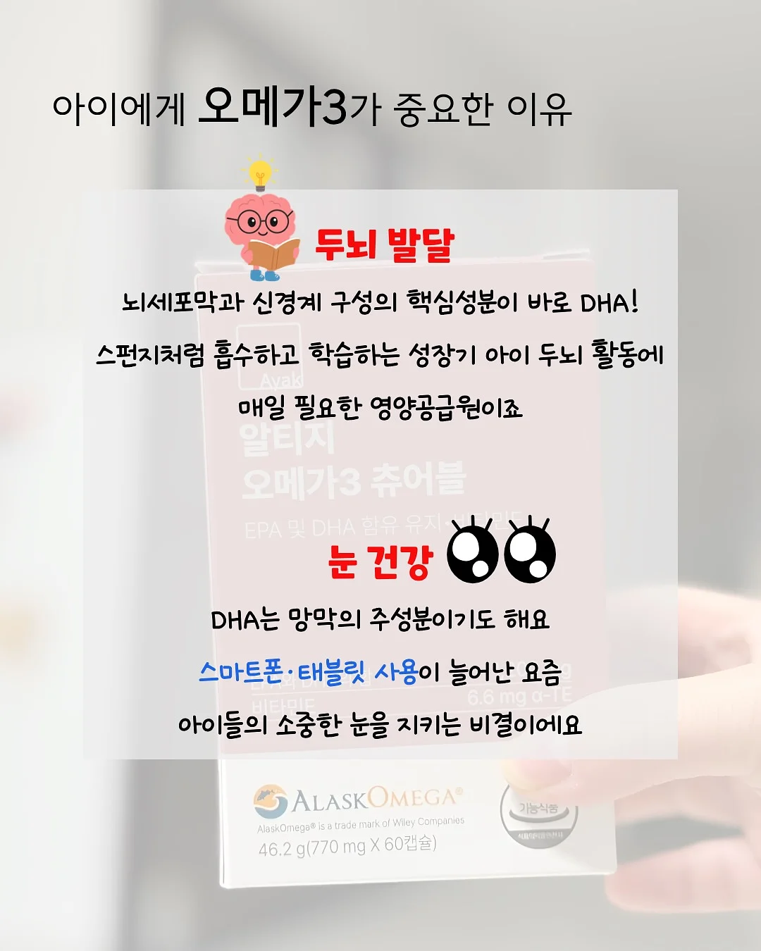 채소베이킹 정규반 3