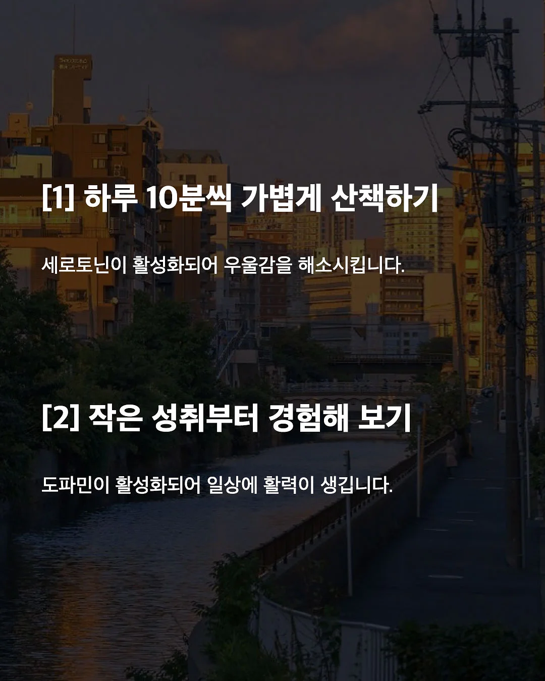 선화동매운실비김치 2