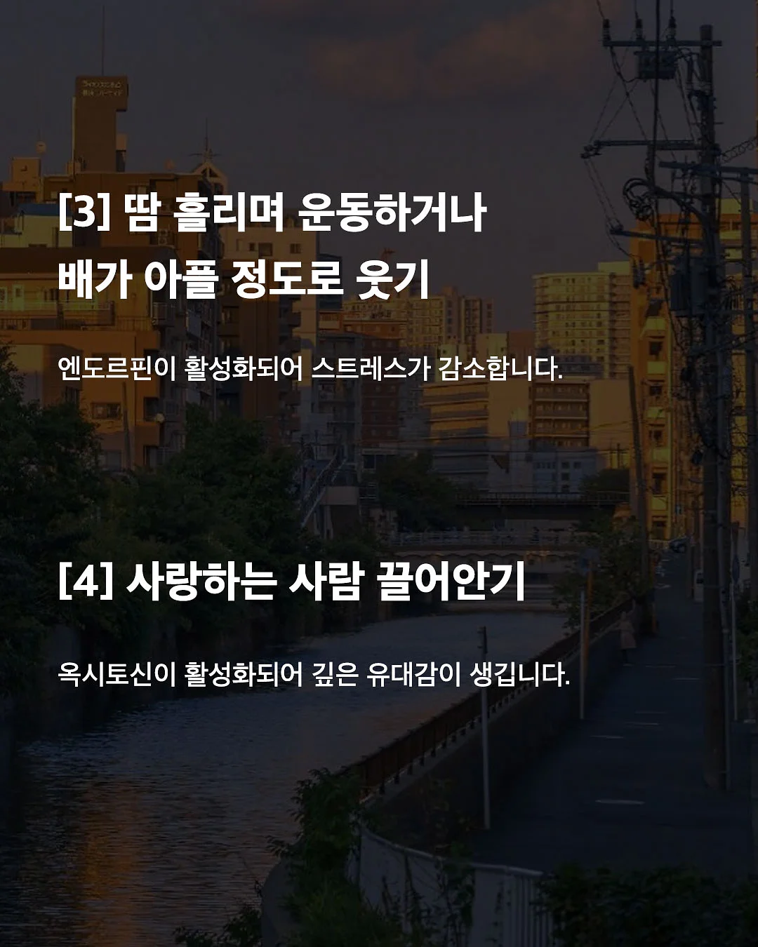 선화동매운실비김치 3
