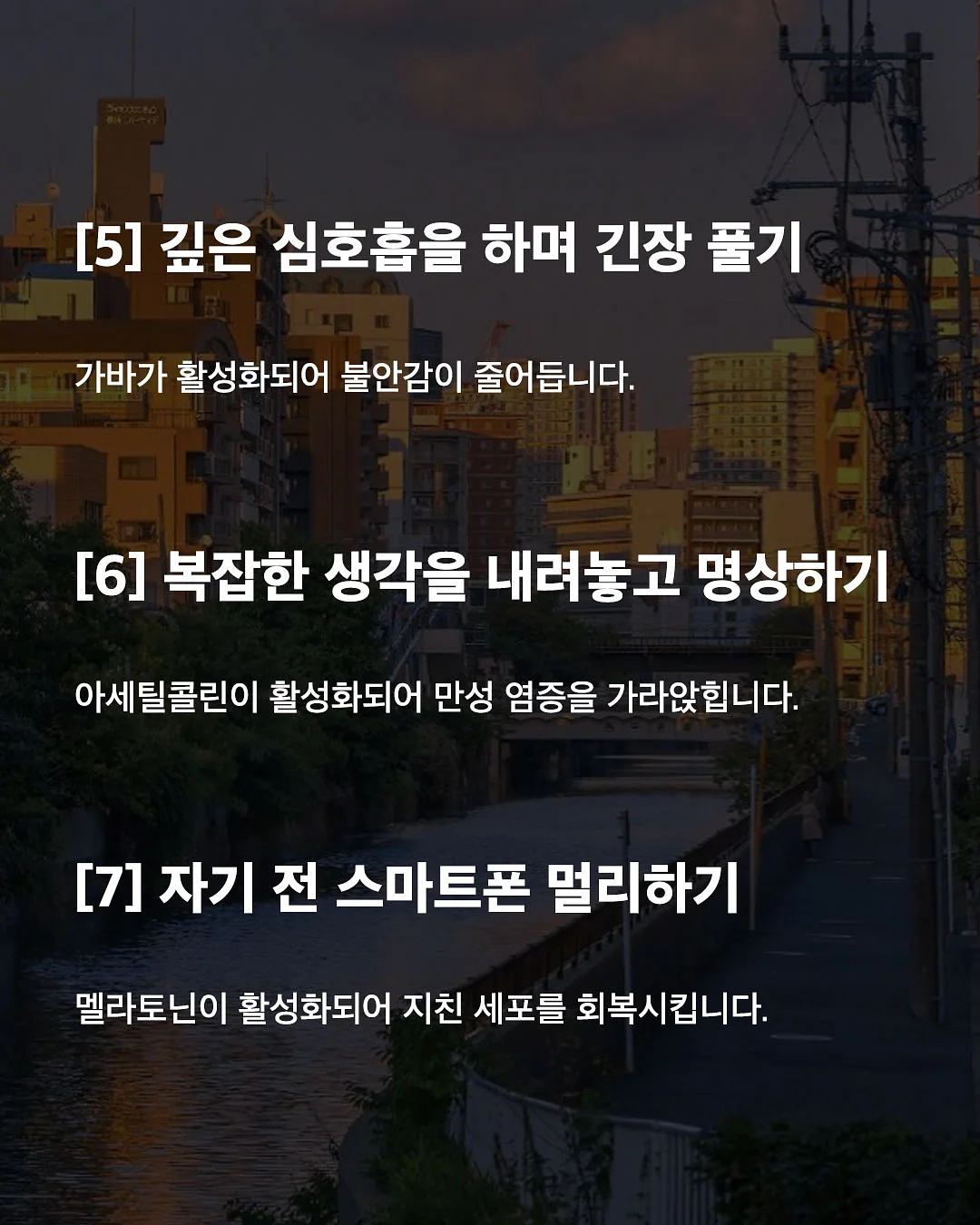 선화동매운실비김치 4