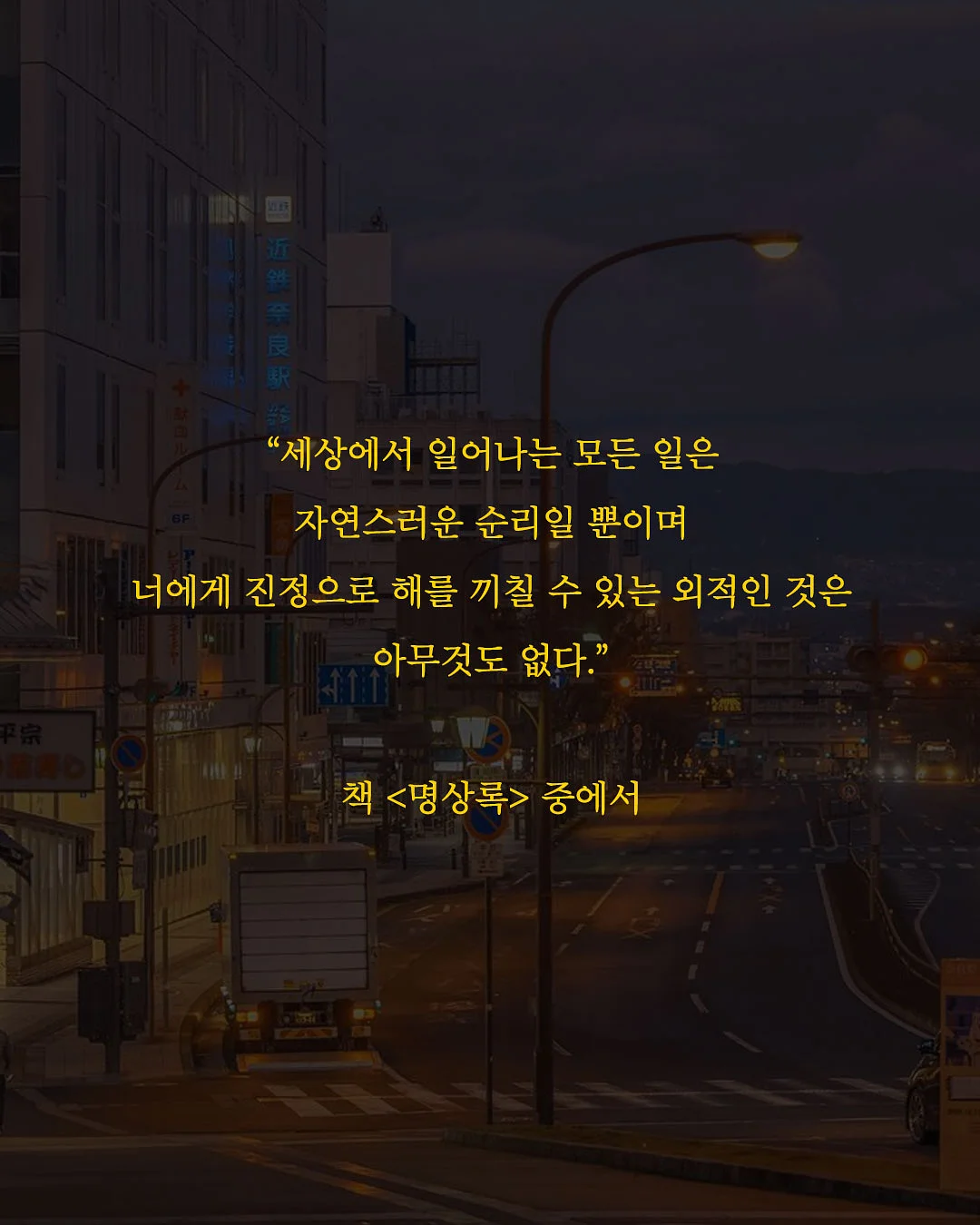 선화동매운실비김치 7