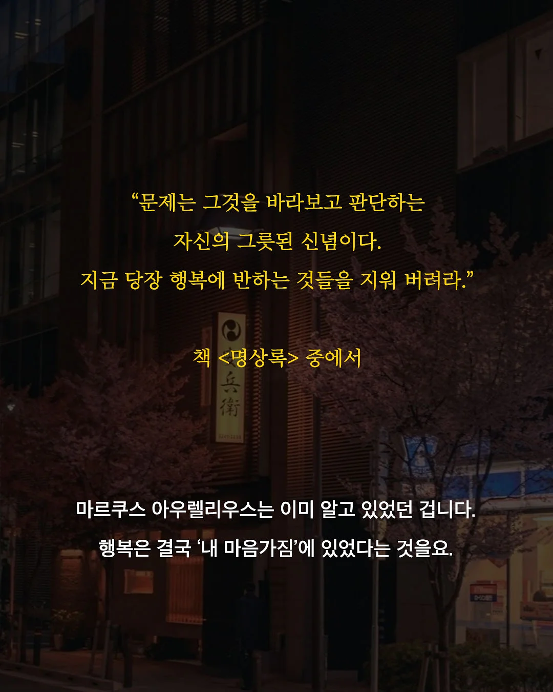 선화동매운실비김치 8