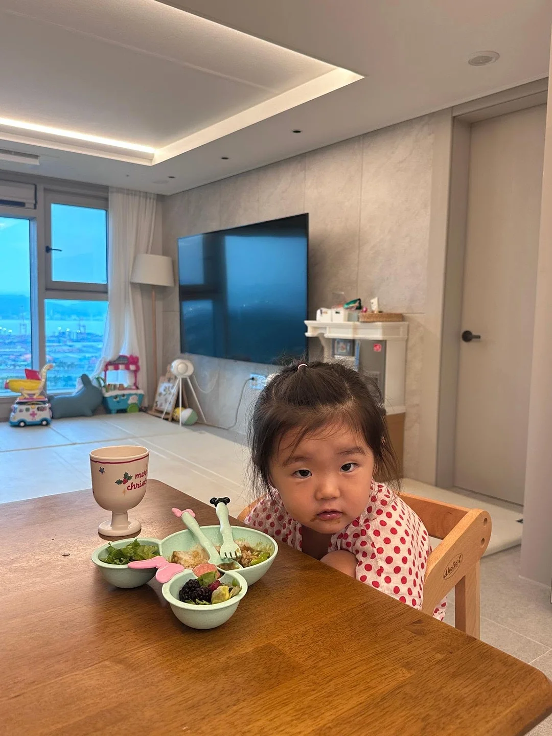 완숙 토마토 16
