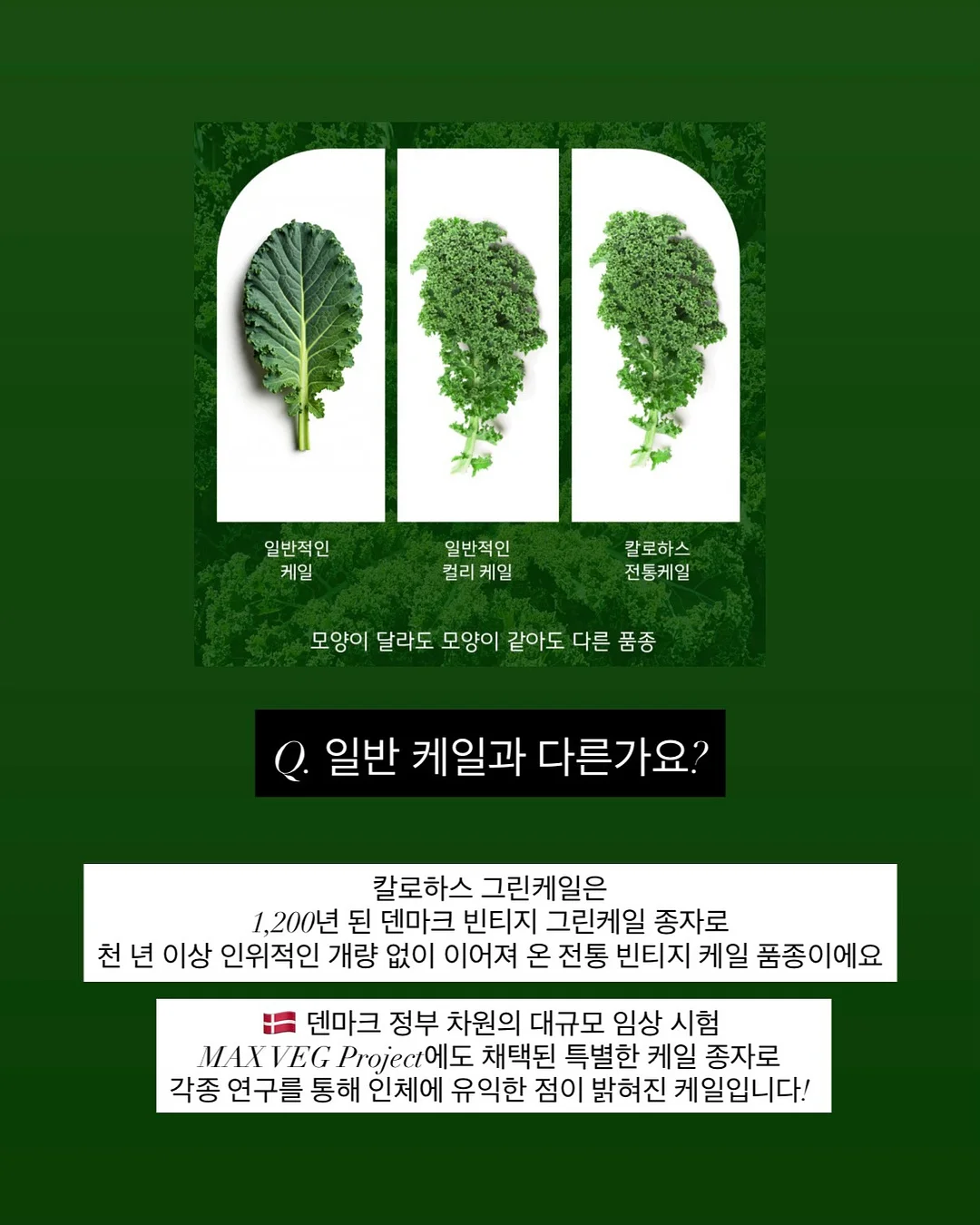 K리그 수원FC 최륜성 선수 트레이닝 프로그램 8