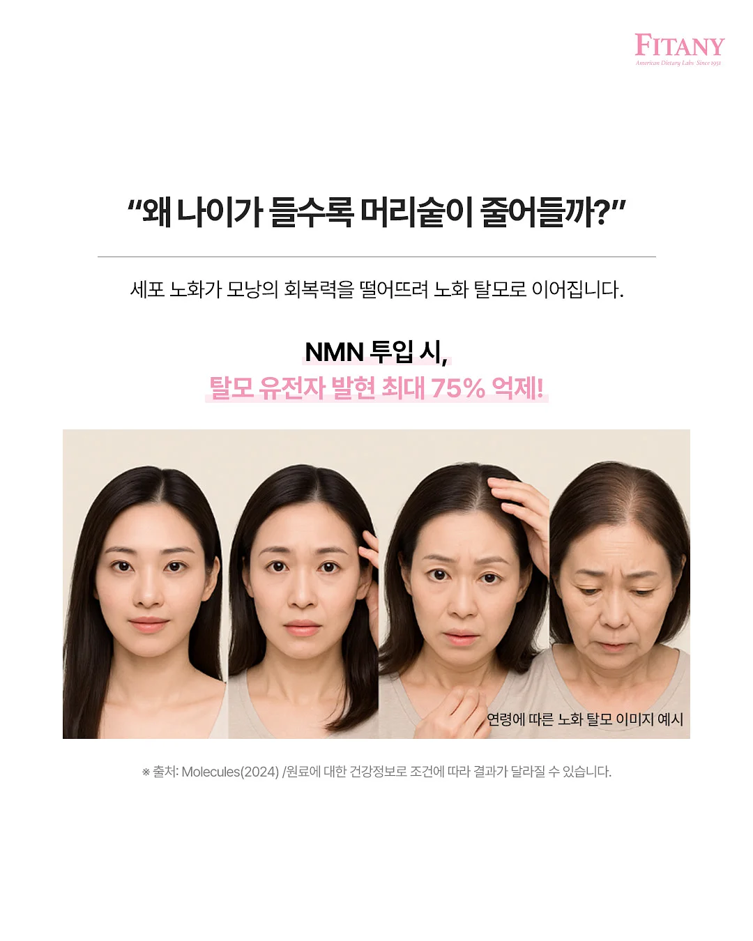 렉스턴칸 프레스티지 화이트 비캠프칸 K3.1 캠핑카