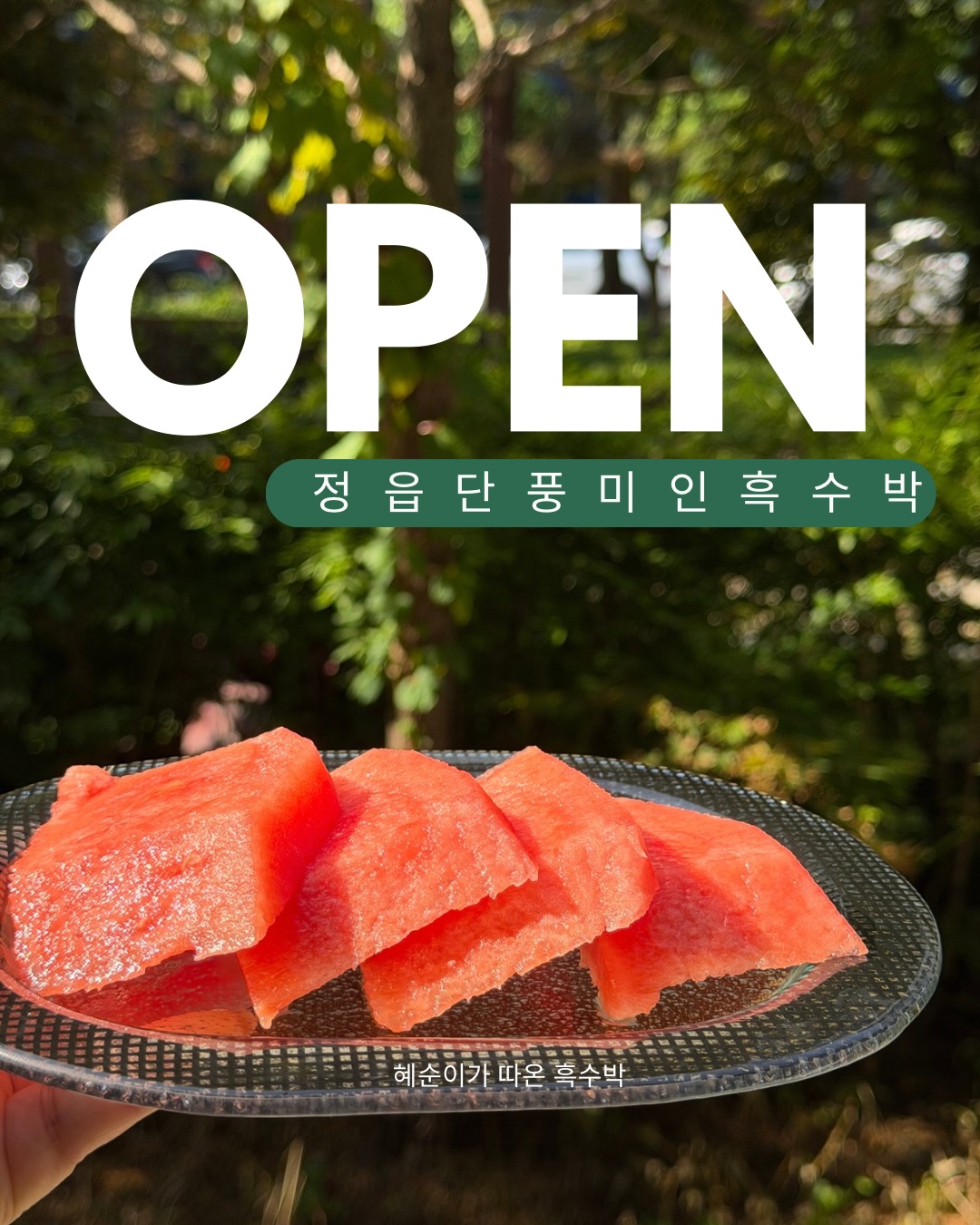 베이프 시티카모 반팔 1