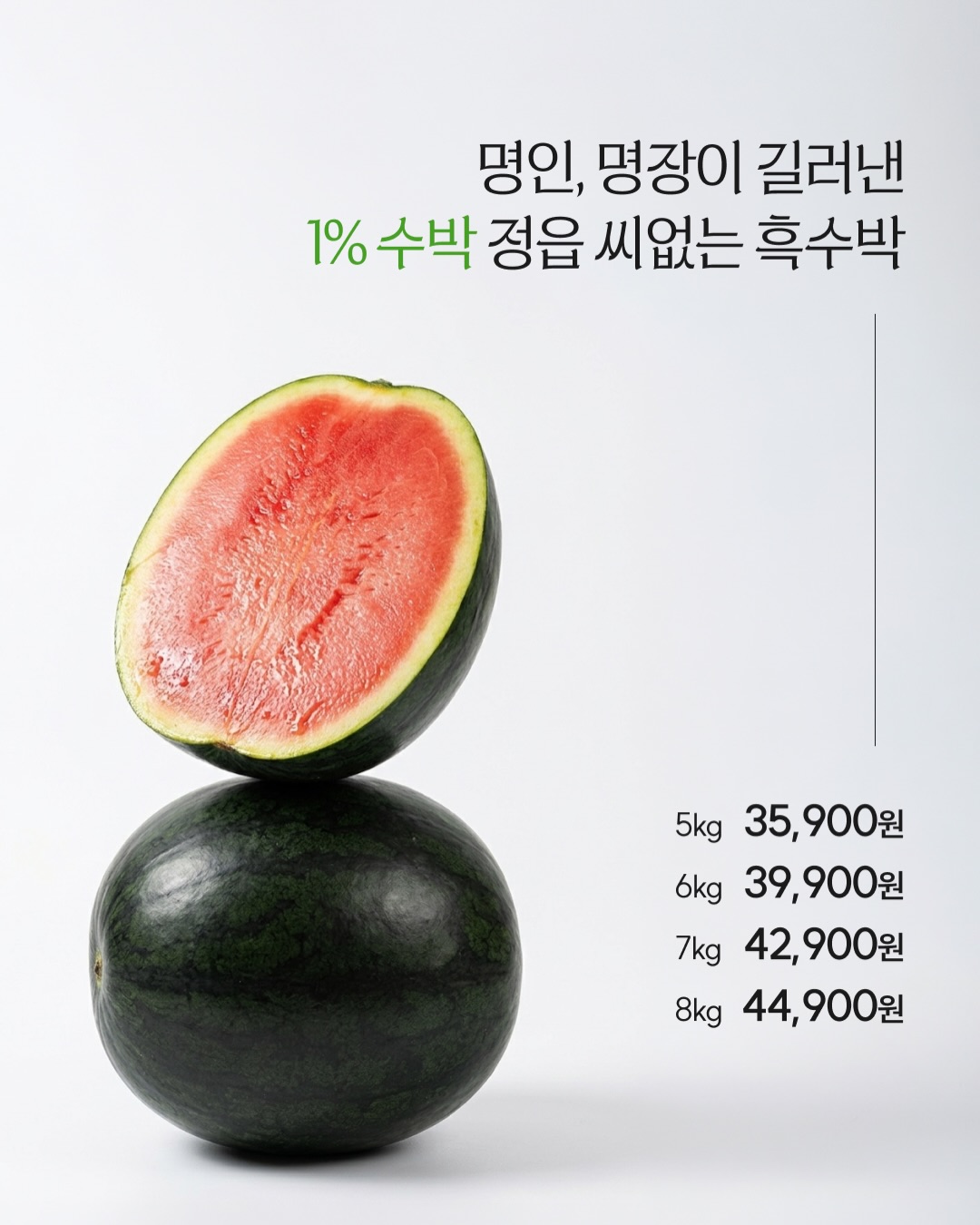베이프 시티카모 반팔 2