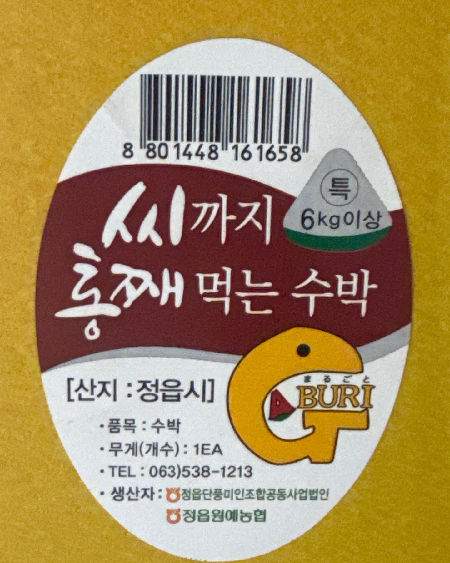 베이프 시티카모 반팔 3