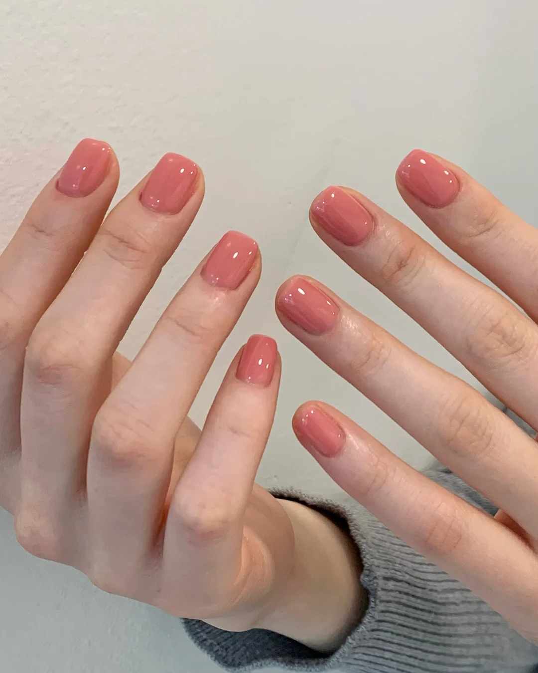 푸드 프로세서 6