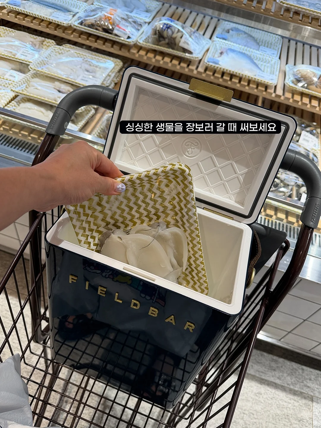 나스 립스틱 15