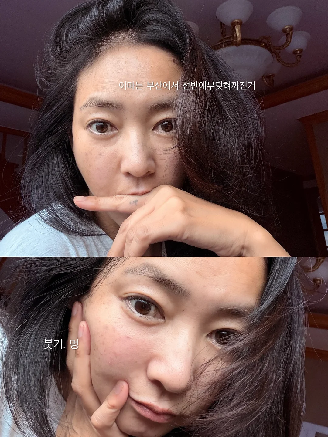 자동 고양이 화장실 3