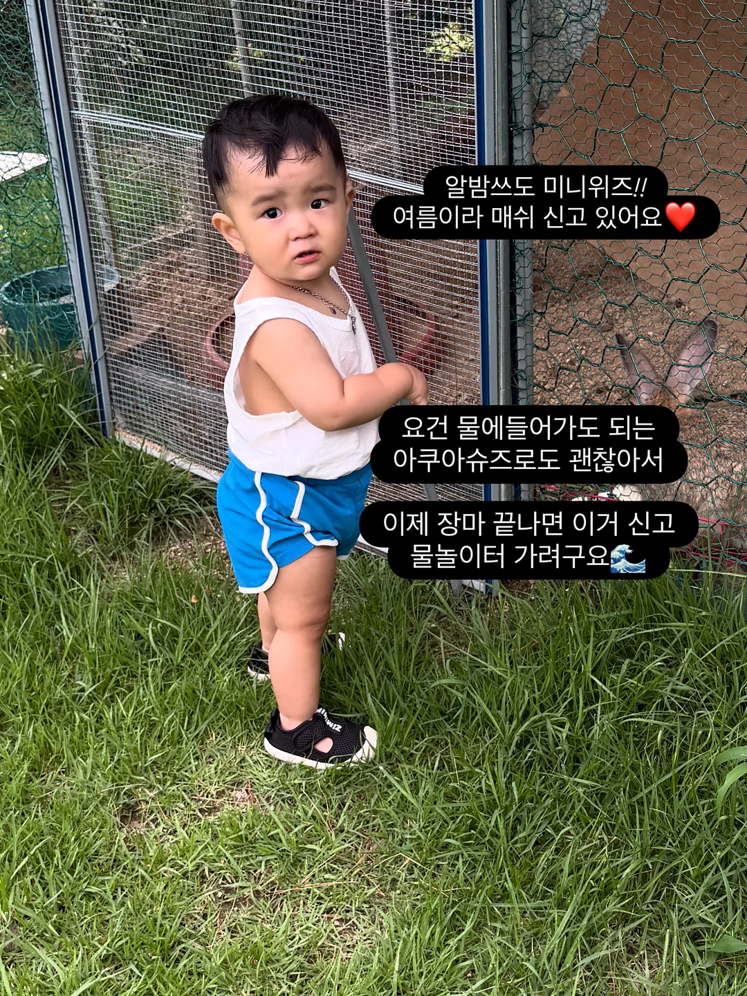 울버린 가드 5