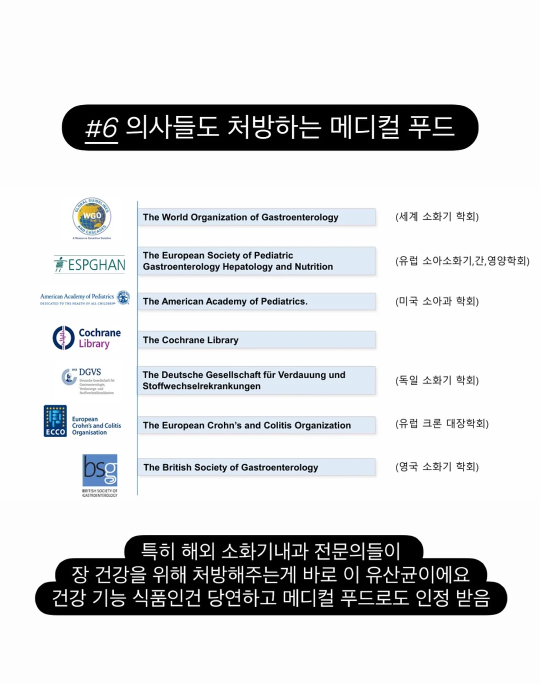 마마스앤파파스 버그 부스터의자 11