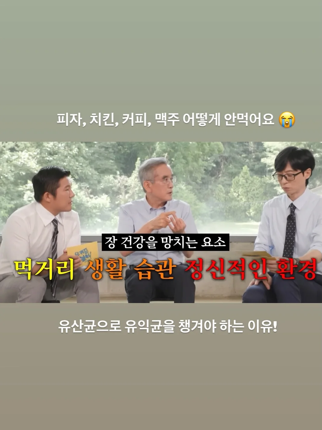 마마스앤파파스 버그 부스터의자 4