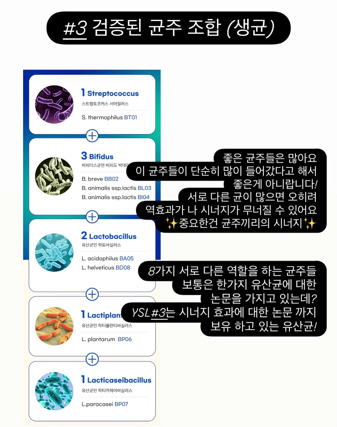 마마스앤파파스 버그 부스터의자 7