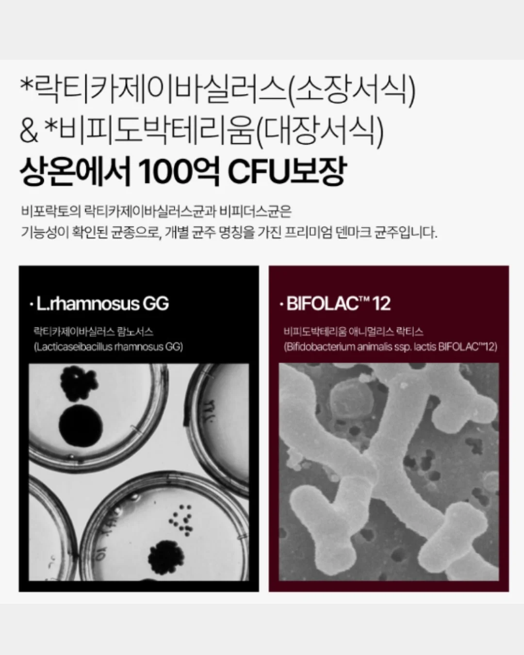 비비드아이 첵첵과일 상하세트 3