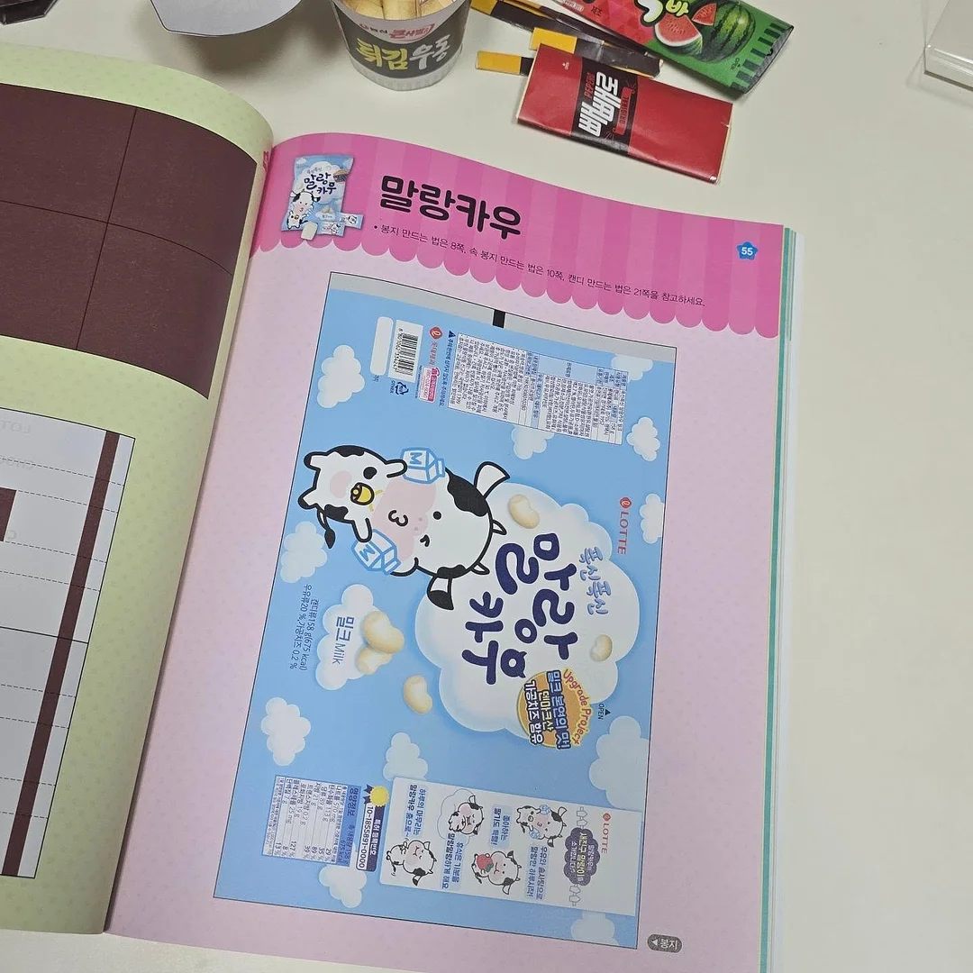 신발 커버 12