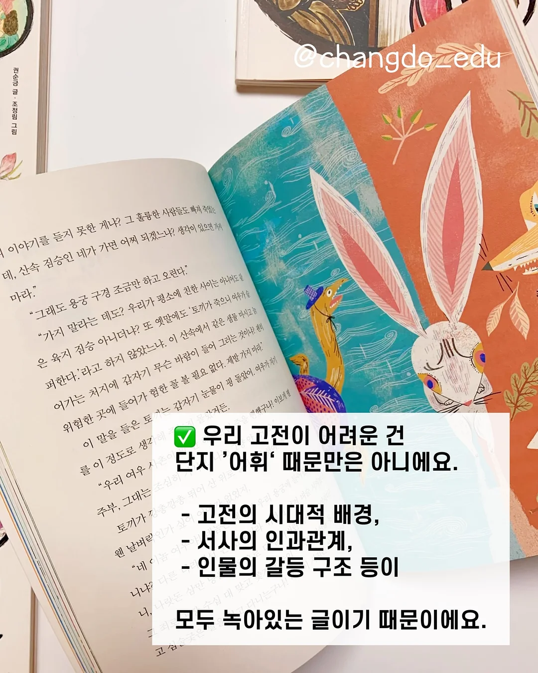 썸머쇼츠 7