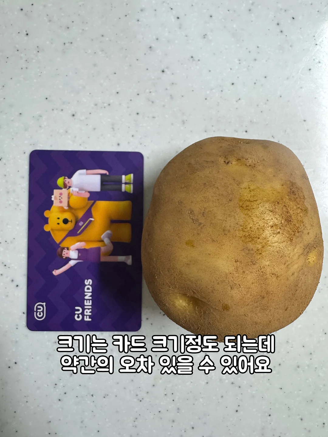 세계철학전집 초월자의 조건 5