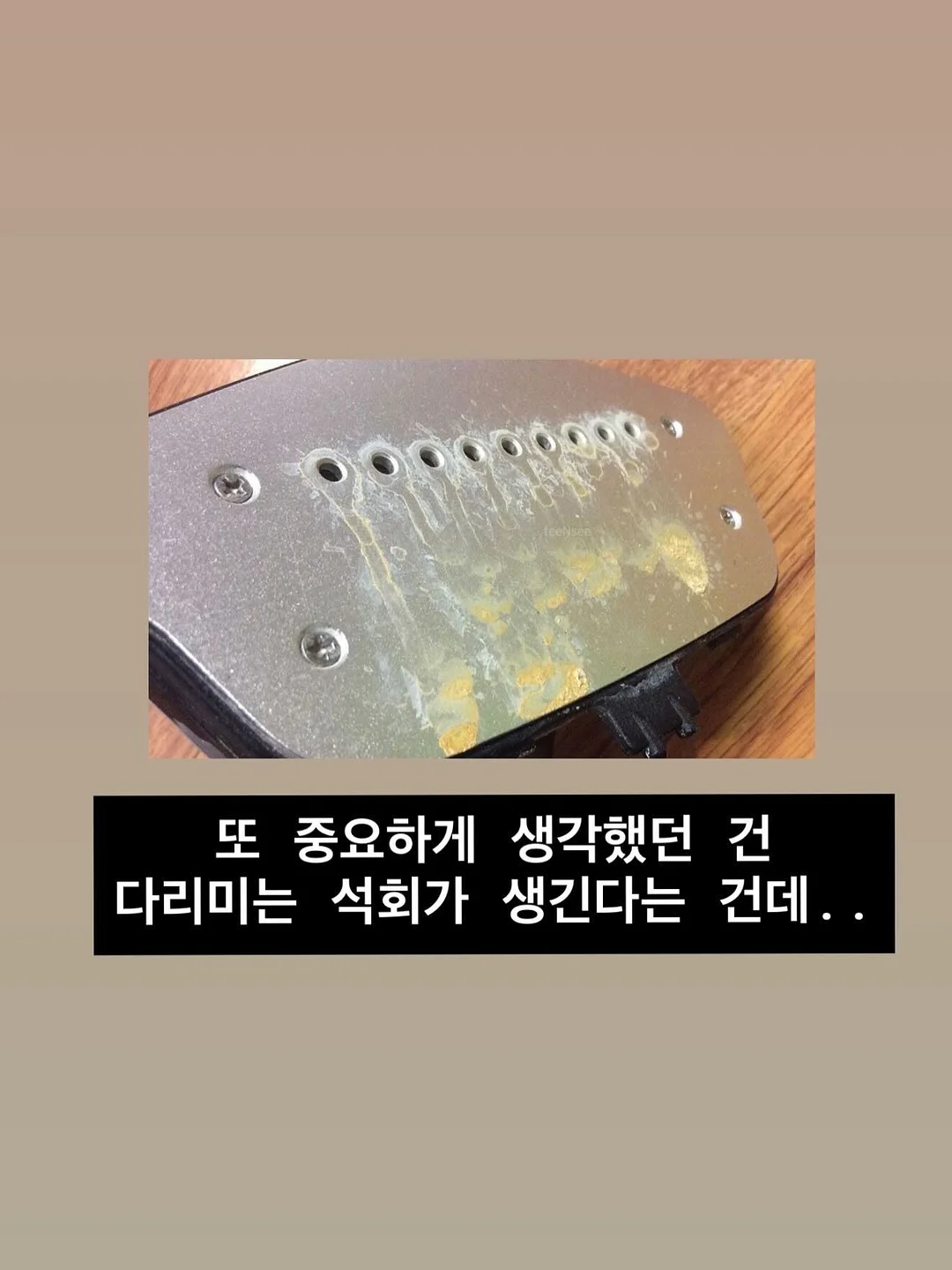 쇼펜하우어 인생 수업 10