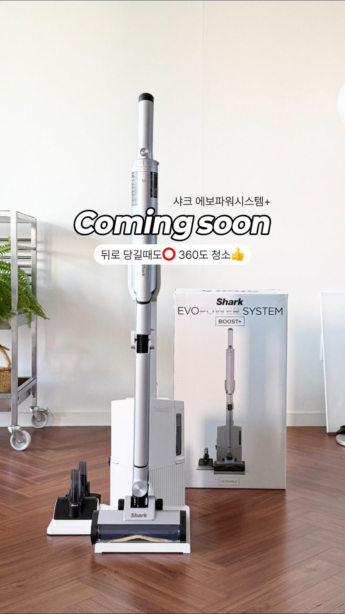 베몽테스 콜라멜 마스크