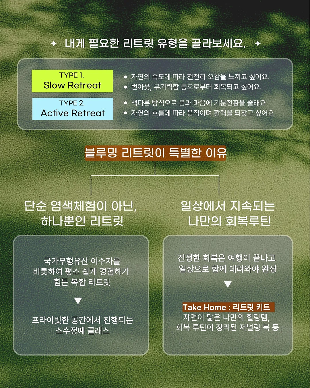 채칼 2