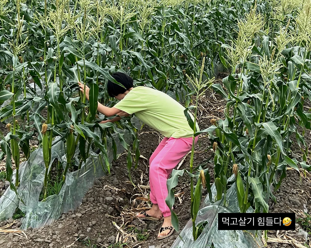 네이비 도트 반팔 셔츠 1
