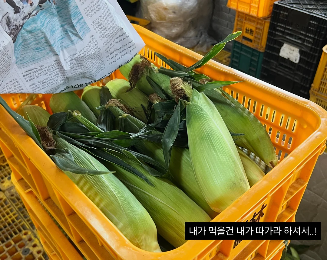 네이비 도트 반팔 셔츠 2