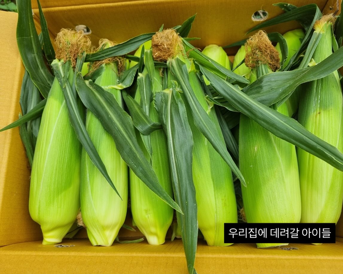 네이비 도트 반팔 셔츠 5