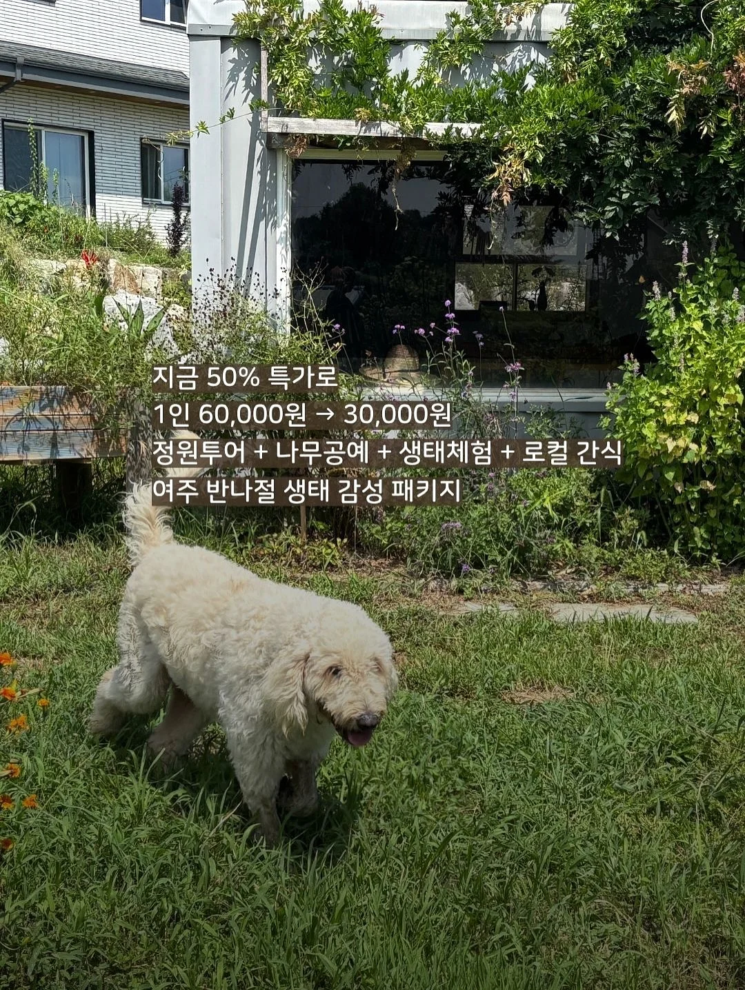 말풍선에 갇힌 한교동 카톡테마 12