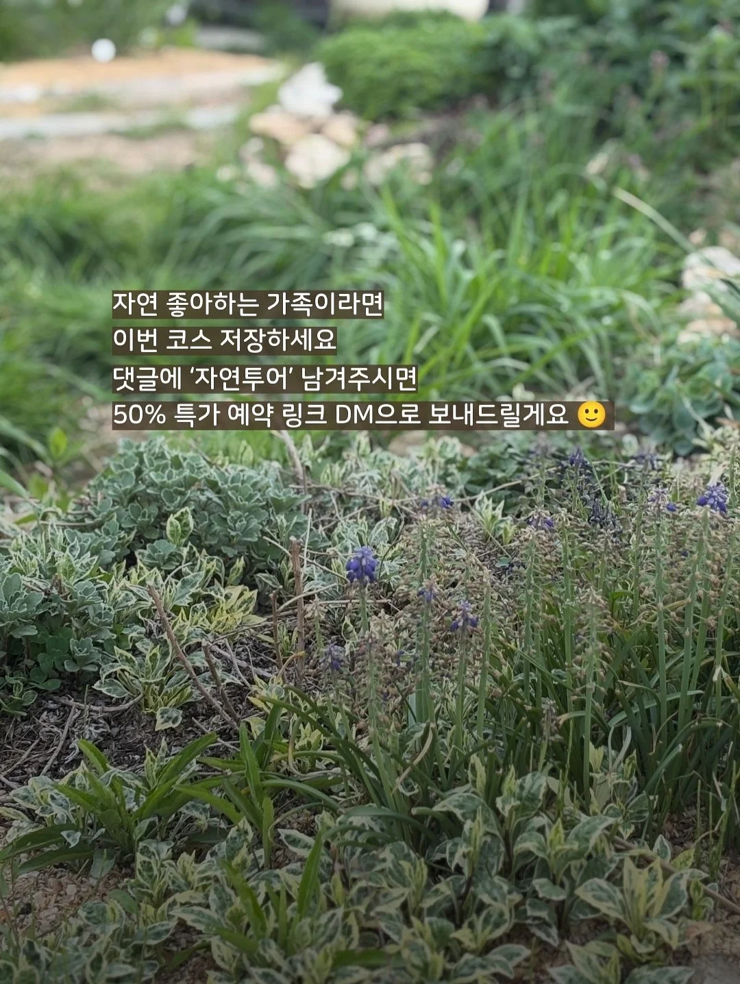 말풍선에 갇힌 한교동 카톡테마 13