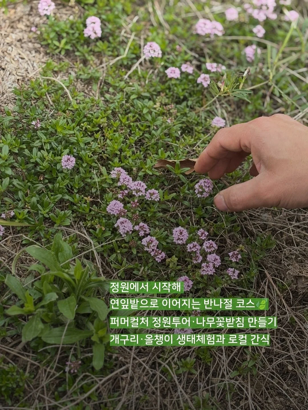 말풍선에 갇힌 한교동 카톡테마 3