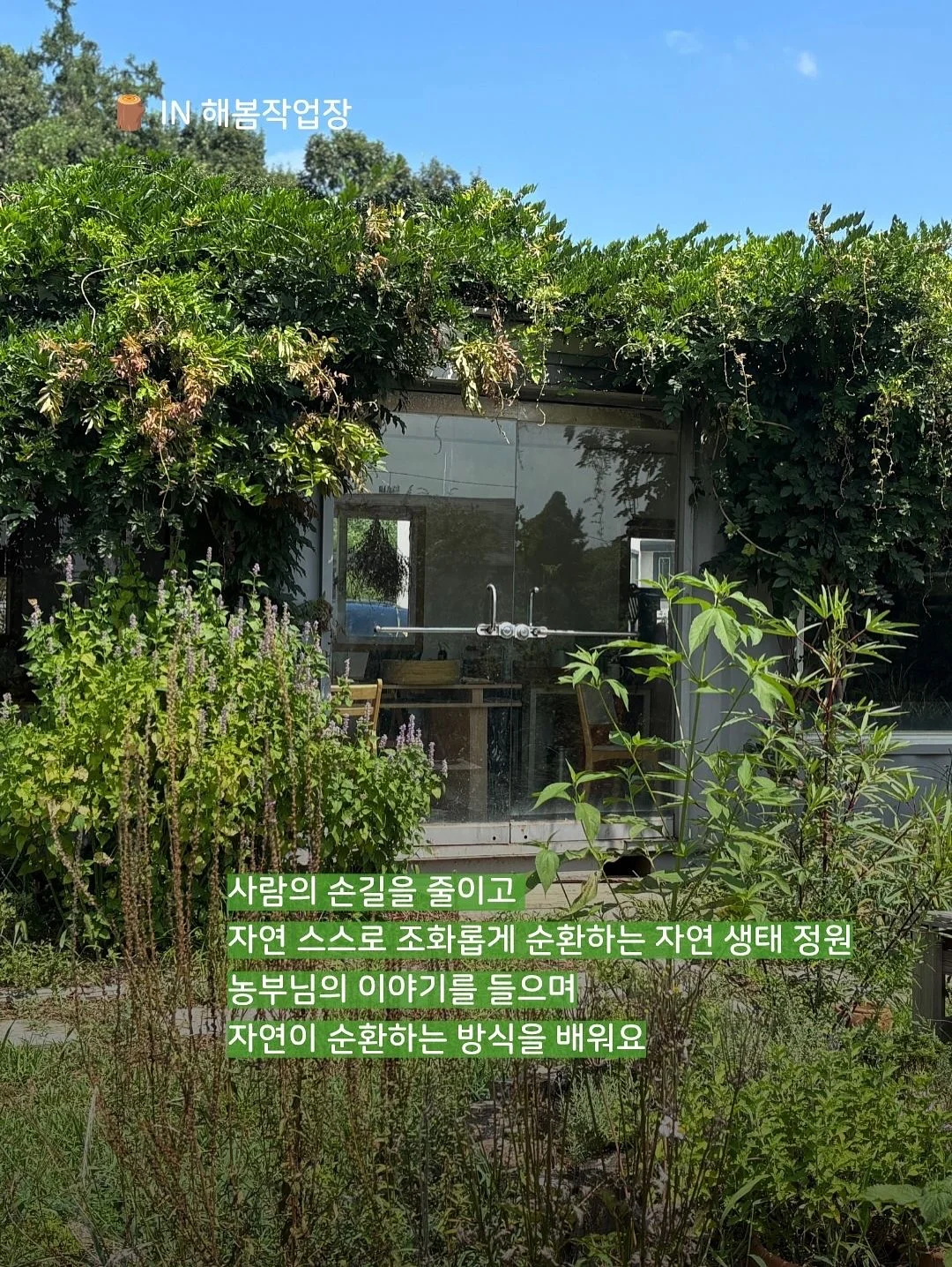 말풍선에 갇힌 한교동 카톡테마 4