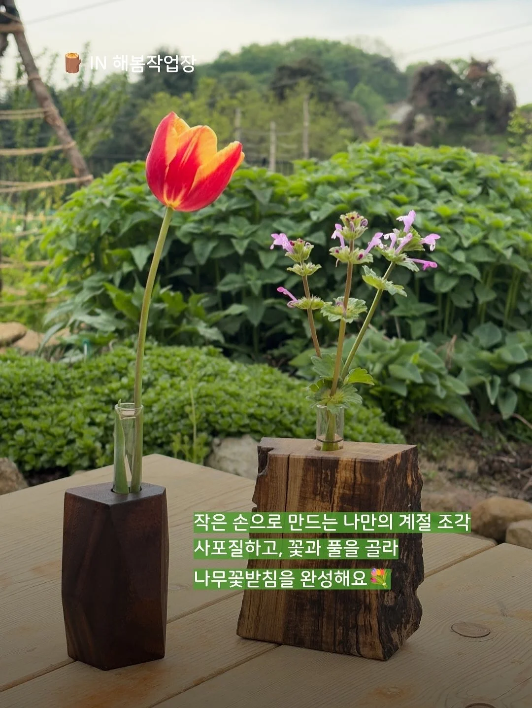 말풍선에 갇힌 한교동 카톡테마 6