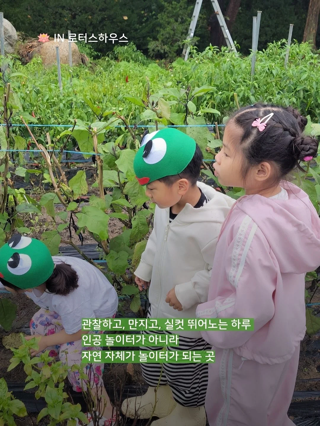 말풍선에 갇힌 한교동 카톡테마 10
