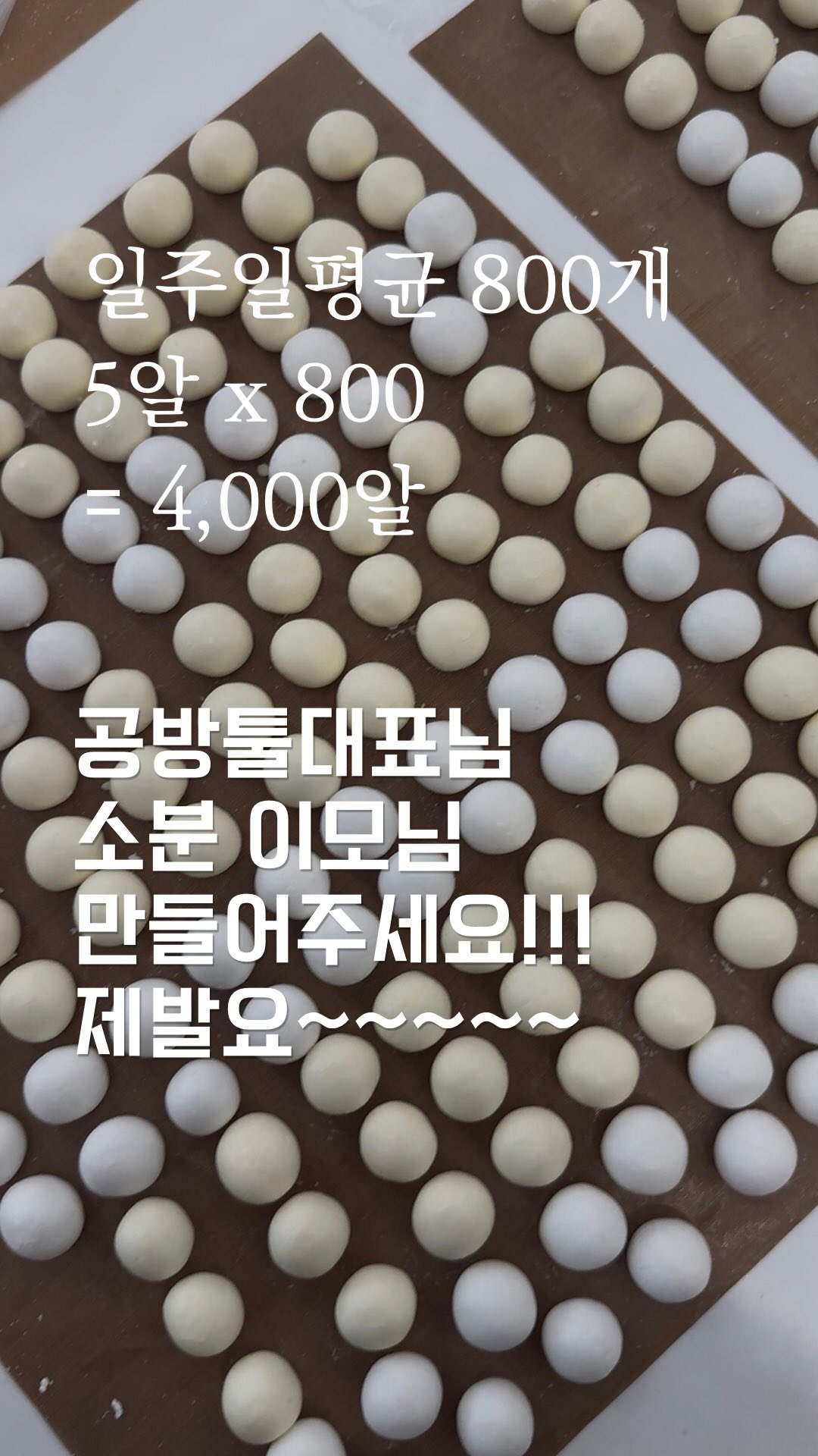 루이스미샤 스윔웨어