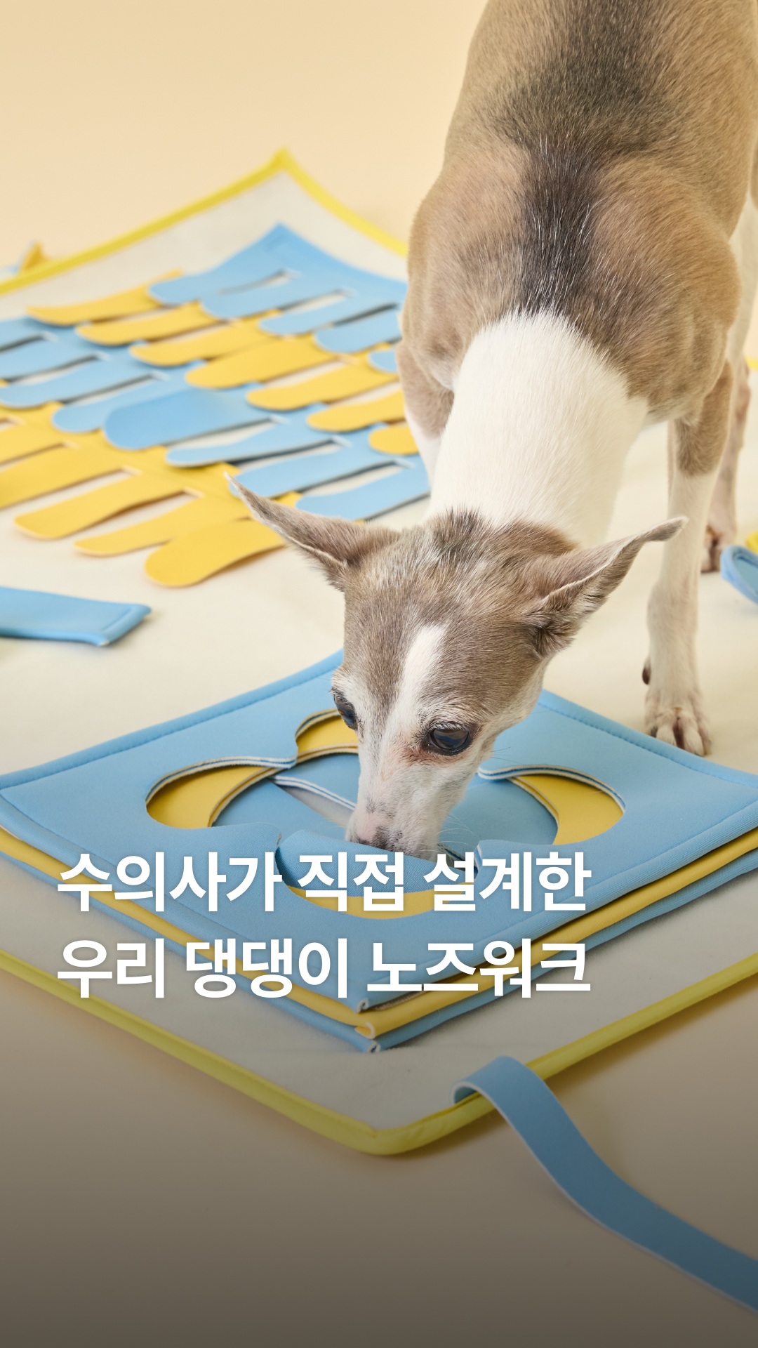 생물 백골뱅이