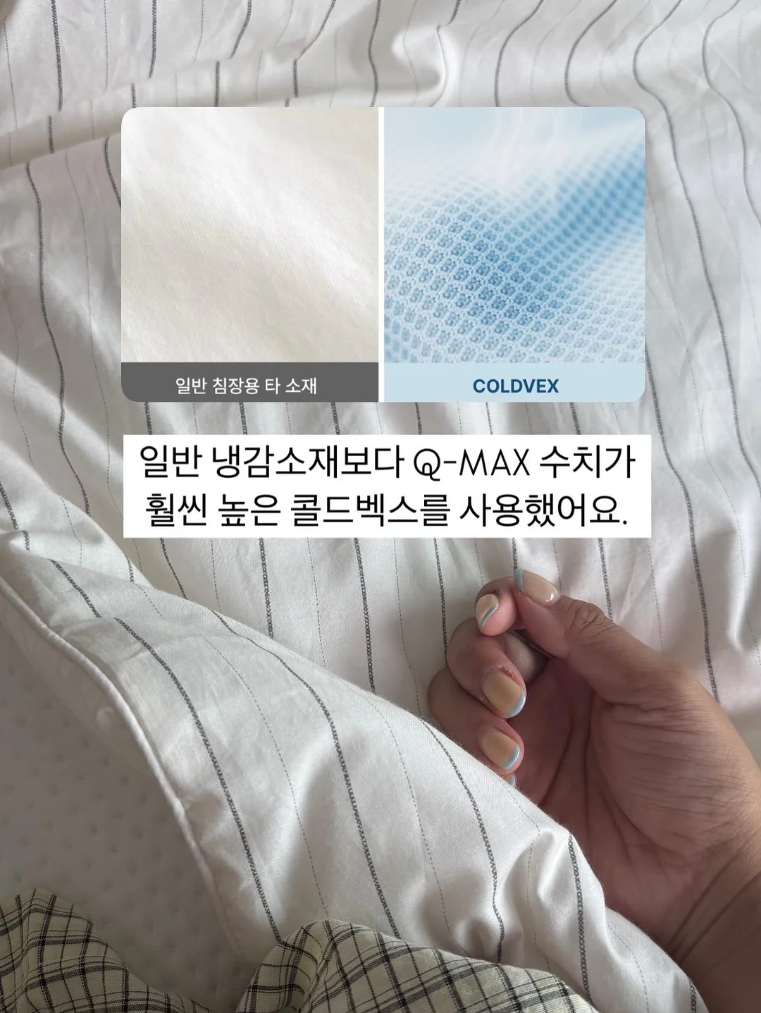 망고케이크 5
