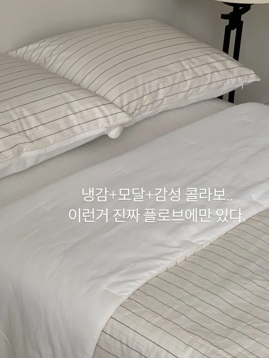 망고케이크 7