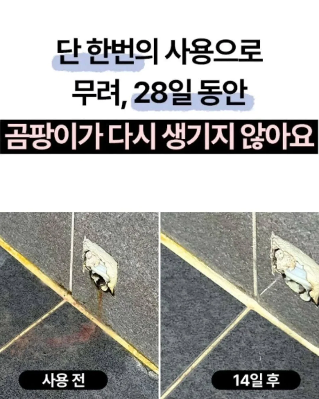 한국체육대학교 MATCH POINT 팀복 등판 마킹 8