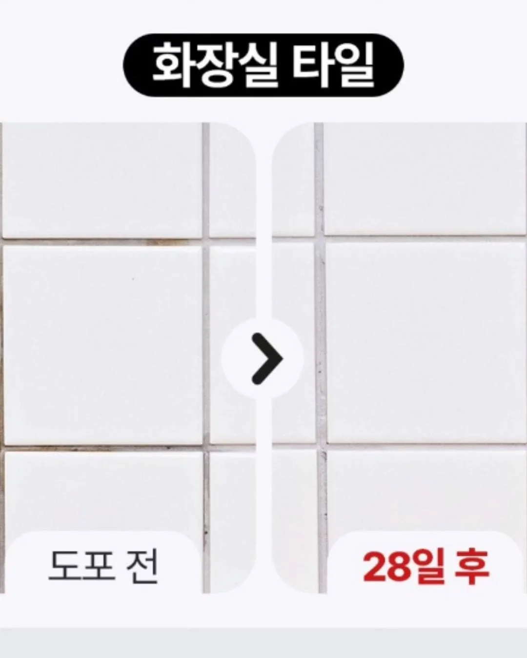 한국체육대학교 MATCH POINT 팀복 등판 마킹 9