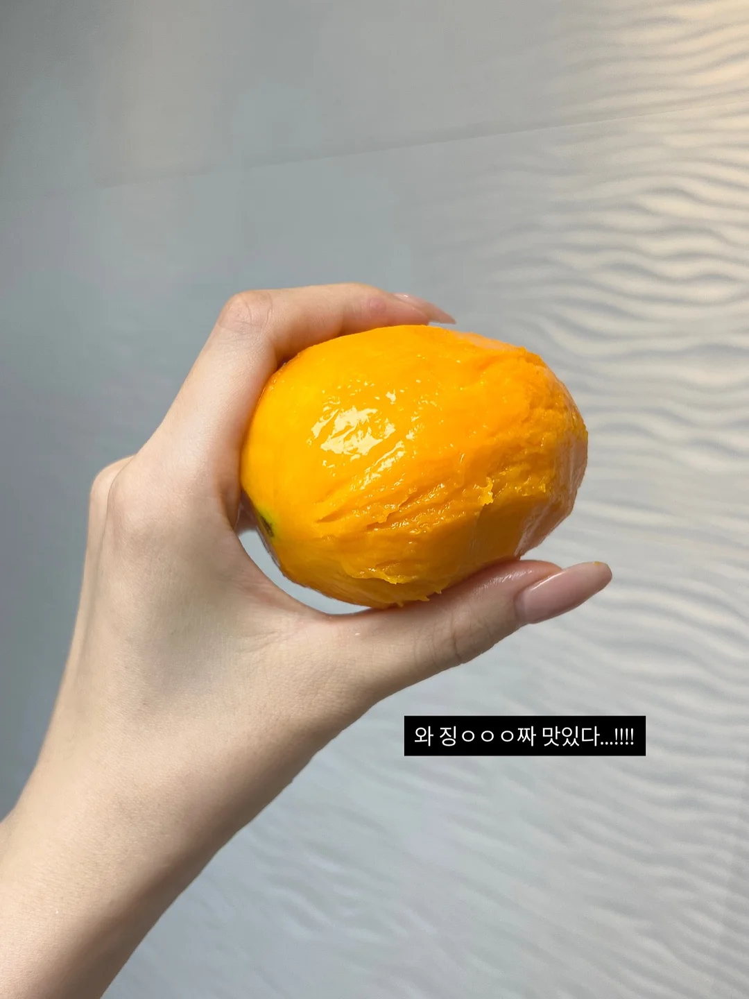 신제품 시리즈 2