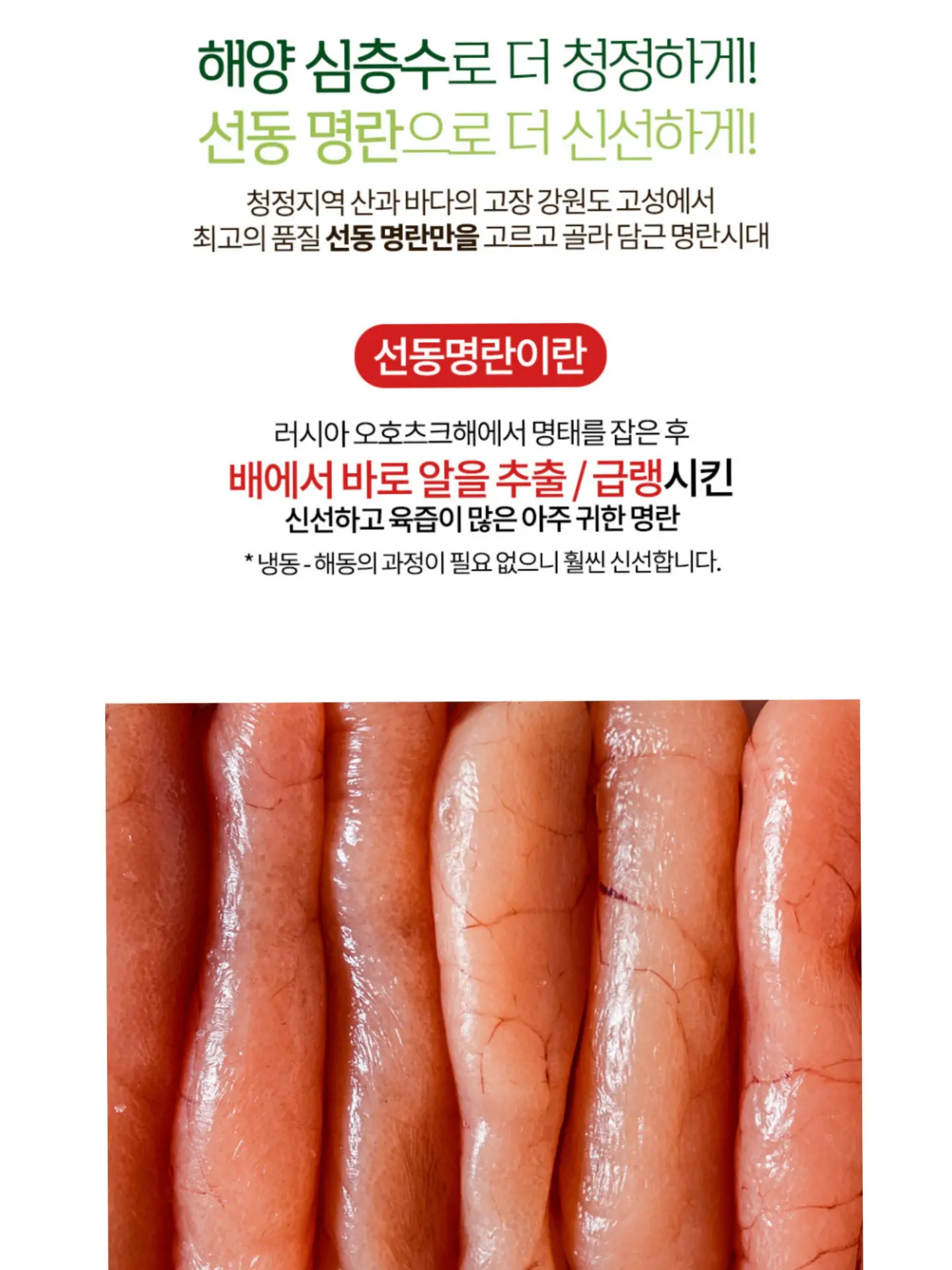 손 관리 제품 5