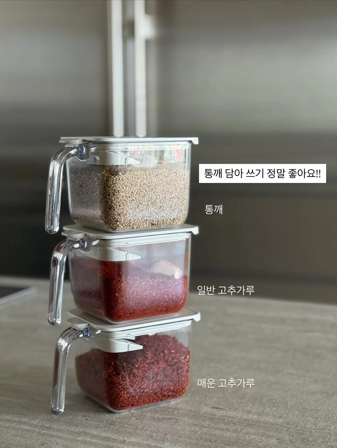 젤슈츠 2